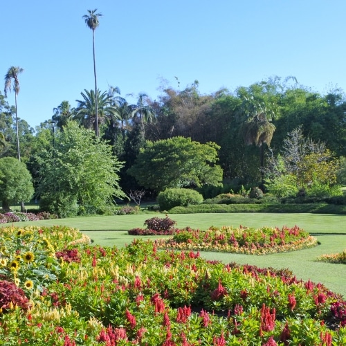 City Botanic Gardens
