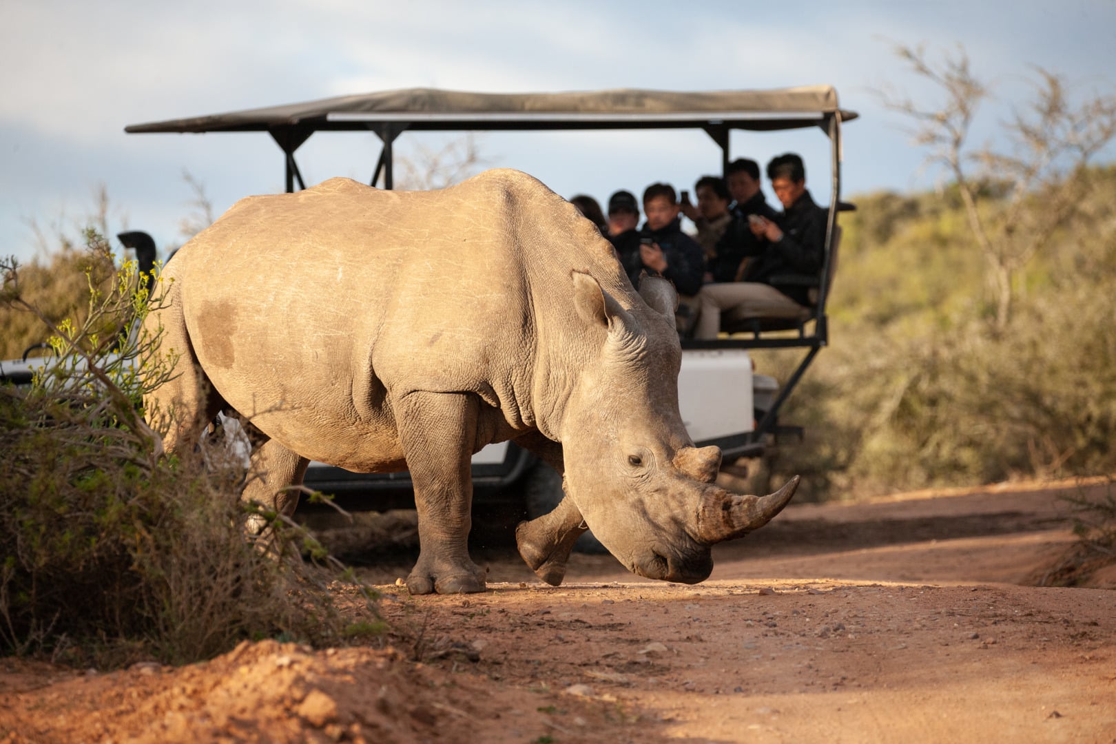 Learn english in south africa &ndash; esl cape town english school