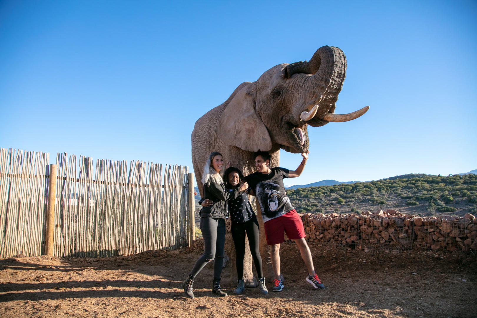 Learn english in south africa &ndash; esl cape town english school