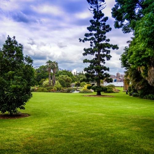 Le jardin botanique de sydney