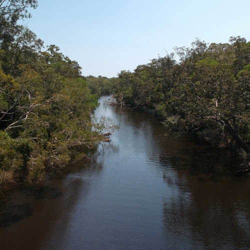 Les Everglades de Noosa