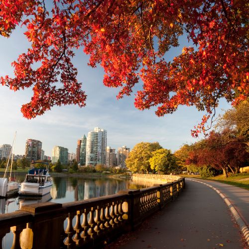 Sans titre 2 copie 1