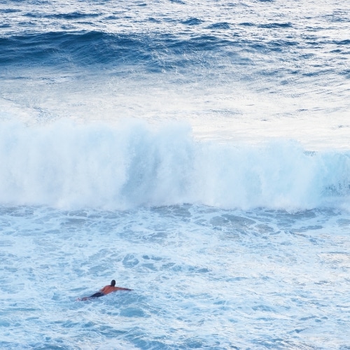 Surfer &agrave; Noosa