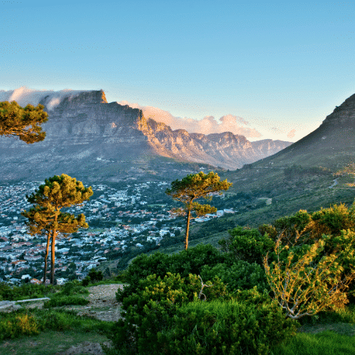 Table mountain